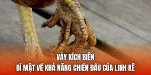 Vảy Kích Biên - Bí Mật Về Khả Năng Chiến Đấu Của Linh Kê