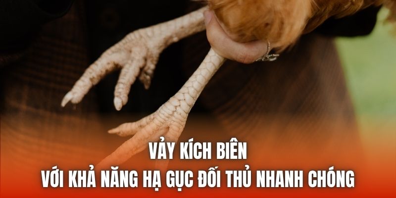 Vảy kích biên với khả năng hạ gục đối thủ nhanh chóng