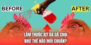Làm Thuốc Xịt Da Gà Chọi Như Thế Nào Mới Chuẩn?