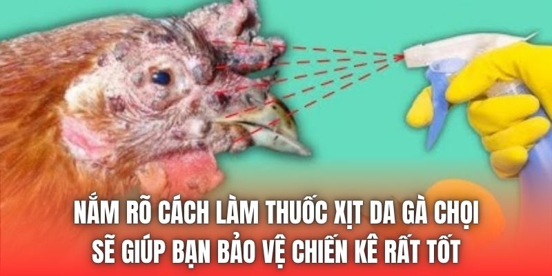 Nắm rõ cách làm thuốc xịt da gà chọi sẽ giúp bạn bảo vệ chiến kê rất tốt
